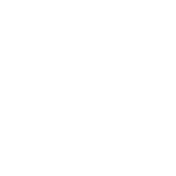 web design icon