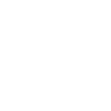 audit and SEO icon